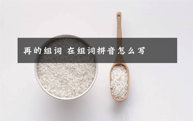 再的组词 在组词拼音怎么写