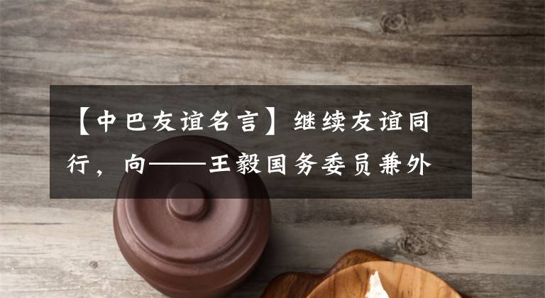 【中巴友谊名言】继续友谊同行,向——王毅国务委员兼外长发起了挑战,参加了伊斯兰合作组织外长理事会,访问了巴基斯坦、阿富汗、印度和尼泊尔,接受了中央媒体的采访。