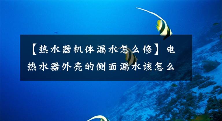 【热水器机体漏水怎么修】电热水器外壳的侧面漏水该怎么处理?