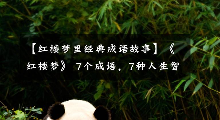 【红楼梦里经典成语故事】《红楼梦》 7个成语,7种人生智慧!