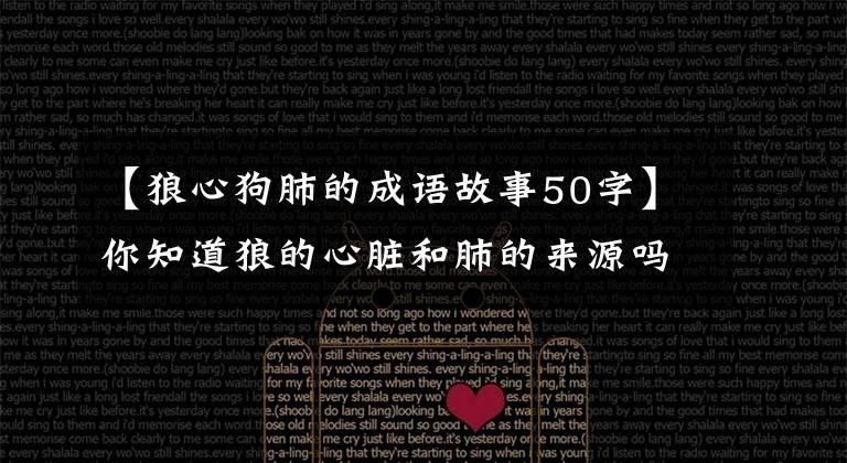 【狼心狗肺的成语故事50字】你知道狼的心脏和肺的来源吗?