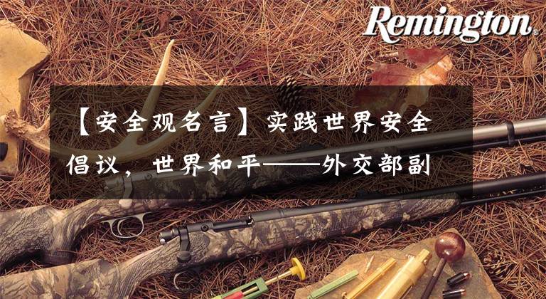 【安全观名言】实践世界安全倡议,世界和平——外交部副部长骆玉成正在