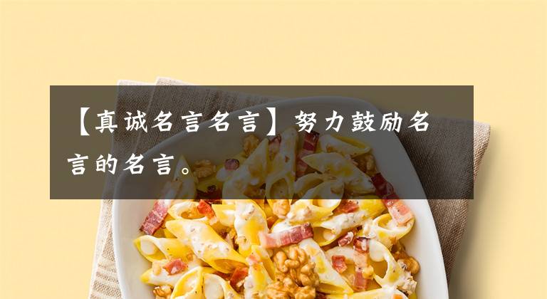 【真诚名言名言】努力鼓励名言的名言。