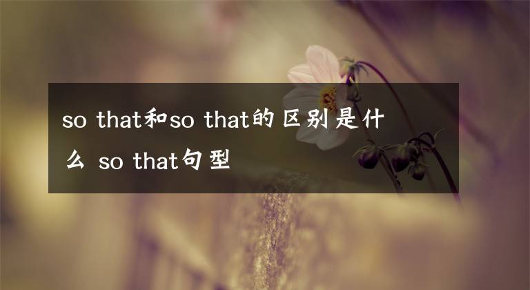 so that和so that的区别是什么 so that句型
