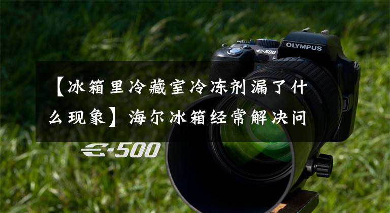 【冰箱里冷藏室冷冻剂漏了什么现象】海尔冰箱经常解决问题