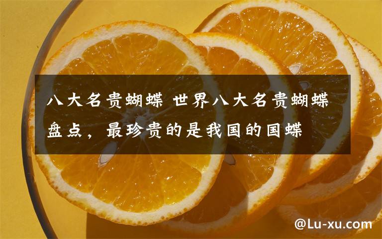 八大名贵蝴蝶 世界八大名贵蝴蝶盘点,最珍贵的是我国的国蝶