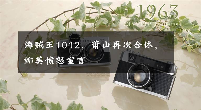 海贼王1012，萧山再次合体，娜美愤怒宣言