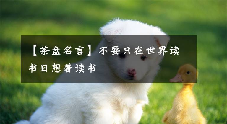 【茶盘名言】不要只在世界读书日想着读书