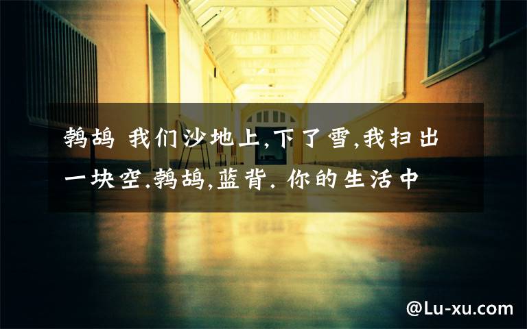 鹁鸪 我们沙地上,下了雪,我扫出一块空.鹁鸪,蓝背. 你的生活中有哪些趣事?请模仿这段话写一个片