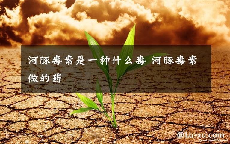 河豚毒素是一种什么毒 河豚毒素做的药