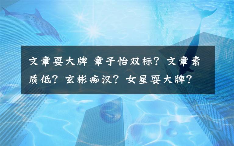 文章耍大牌 章子怡双标?文章素质低?玄彬痴汉?女星耍大牌?