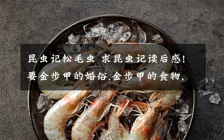 昆虫记松毛虫 求昆虫记读后感!要金步甲的婚俗,金步甲的食物,松毛虫,松毛虫蛾,蝉分别的读后感,每个50字左右就OK了!