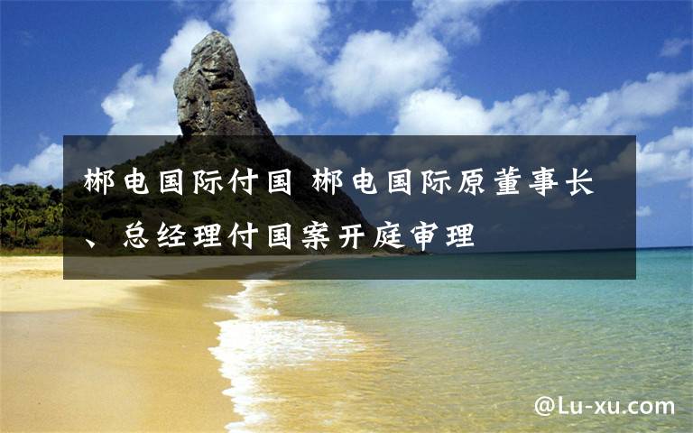 郴电国际付国 郴电国际原董事长、总经理付国案开庭审理