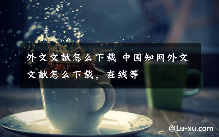 外文文献怎么下载 中国知网外文文献怎么下载,在线等