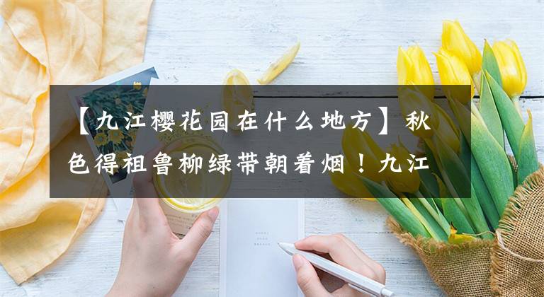 【九江樱花园在什么地方】秋色得祖鲁柳绿带朝着烟!九江不断巩固和提高省级生态园林城市的绩效。