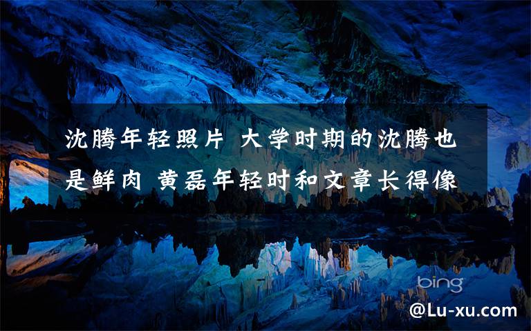 沈腾年轻照片 大学时期的沈腾也是鲜肉 黄磊年轻时和文章长得像