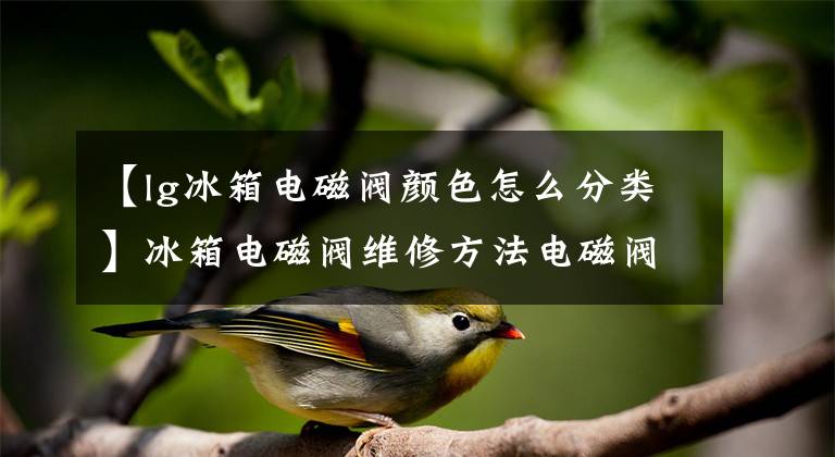 【lg冰箱电磁阀颜色怎么分类】冰箱电磁阀维修方法电磁阀故障结果