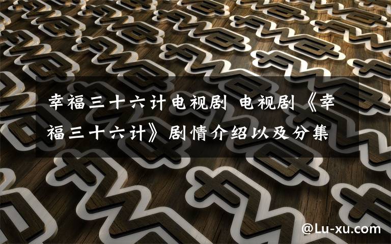 幸福三十六计电视剧 电视剧《幸福三十六计》剧情介绍以及分集剧情介绍