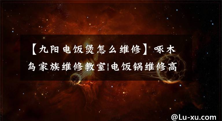 【九阳电饭煲怎么维修】啄木鸟家族维修教室|电饭锅维修高级版妙招