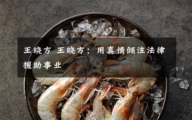 王晓方 王晓方:用真情倾注法律援助事业