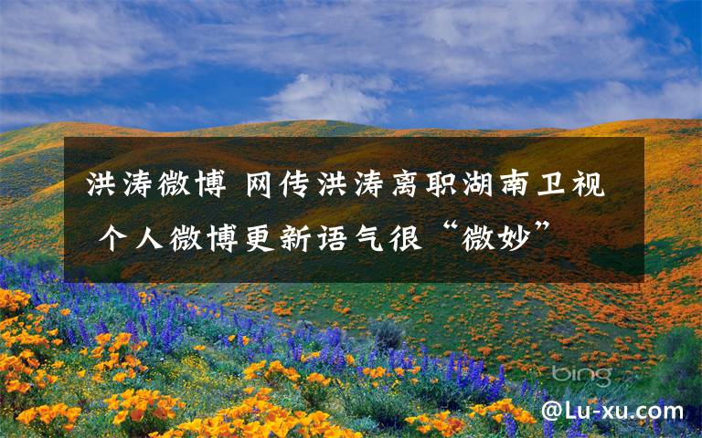 洪涛微博 网传洪涛离职湖南卫视 个人微博更新语气很“微妙”