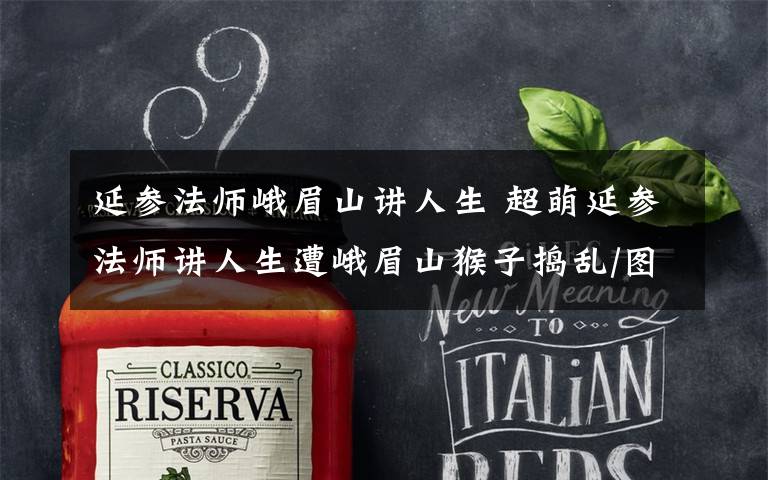 延参法师峨眉山讲人生 超萌延参法师讲人生遭峨眉山猴子捣乱/图