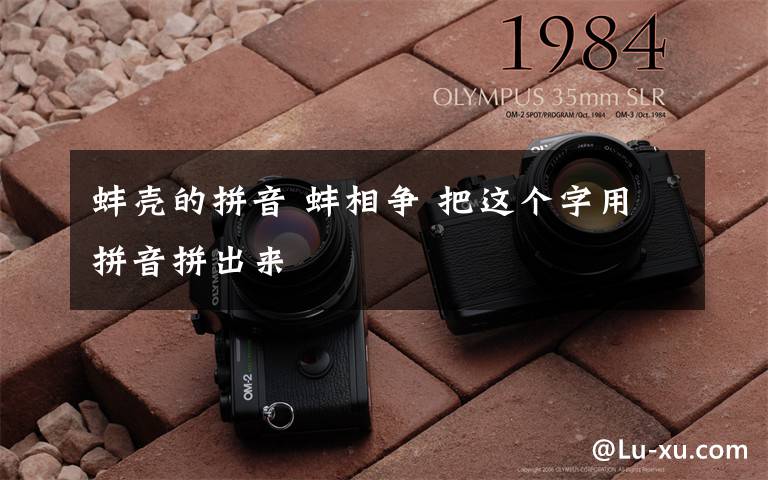 蚌壳的拼音 蚌相争 把这个字用拼音拼出来