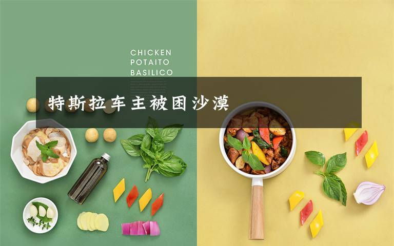 特斯拉车主被困沙漠