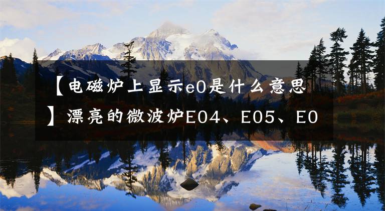 【电磁炉上显示e0是什么意思】漂亮的微波炉E04、E05、E06故障代码维修详细信息