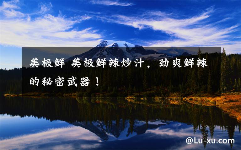 美极鲜 美极鲜辣炒汁,劲爽鲜辣的秘密武器!