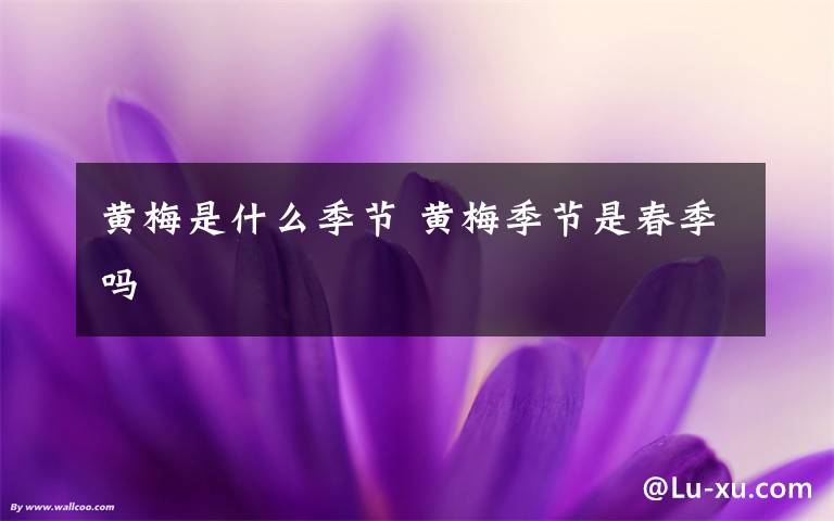 黄梅是什么季节 黄梅季节是春季吗