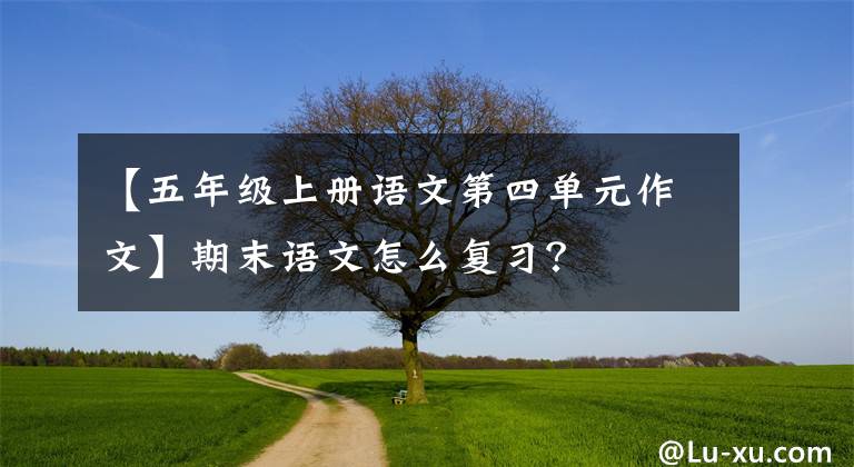 【五年级上册语文第四单元作文】期末语文怎么复习?