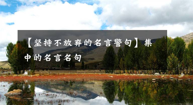 【坚持不放弃的名言警句】集中的名言名句