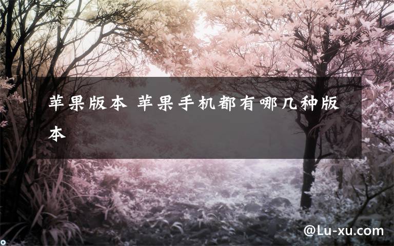 苹果版本 苹果手机都有哪几种版本