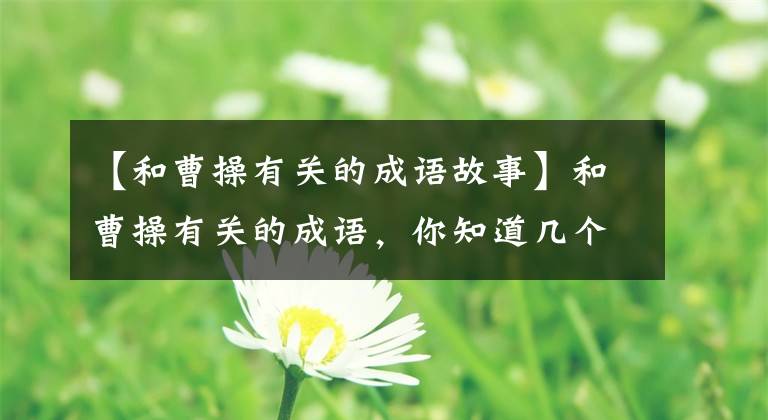 【和曹操有关的成语故事】和曹操有关的成语,你知道几个?