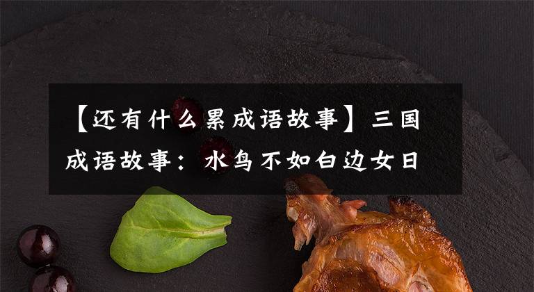 【还有什么累成语故事】三国成语故事:水鸟不如白边女日。