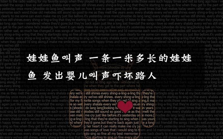 娃娃鱼叫声 一条一米多长的娃娃鱼 发出婴儿叫声吓坏路人