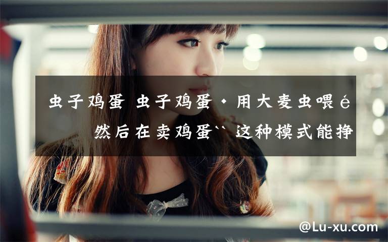 虫子鸡蛋 虫子鸡蛋·用大麦虫喂鸡 然后在卖鸡蛋`` 这种模式能挣到钱吗?