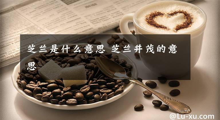 芝兰是什么意思 芝兰并茂的意思