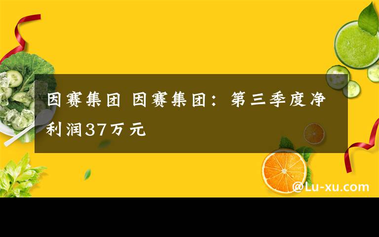 因赛集团 因赛集团:第三季度净利润37万元