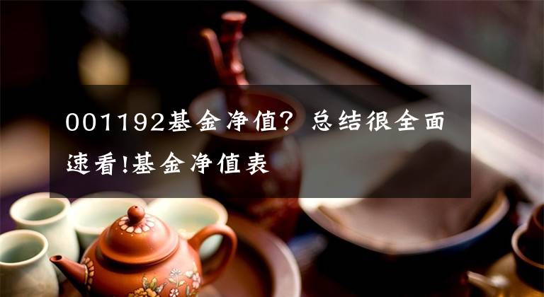 001192基金净值?总结很全面速看!基金净值表