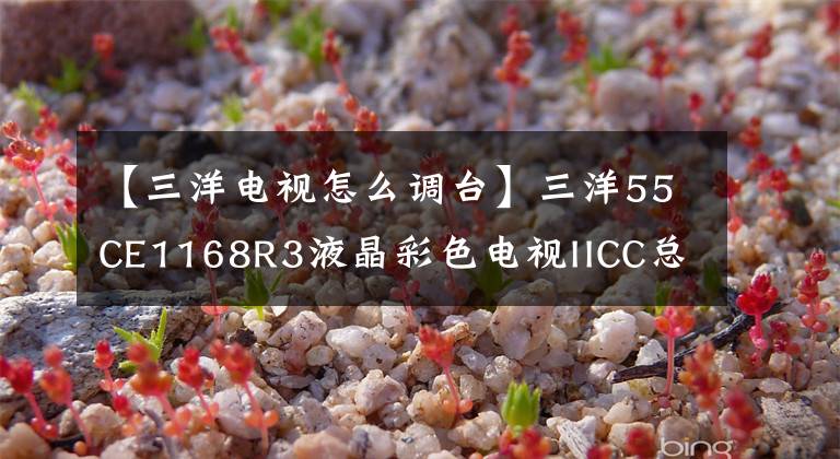 【三洋电视怎么调台】三洋55CE1168R3液晶彩色电视IICC总线的进入、调整和升级。