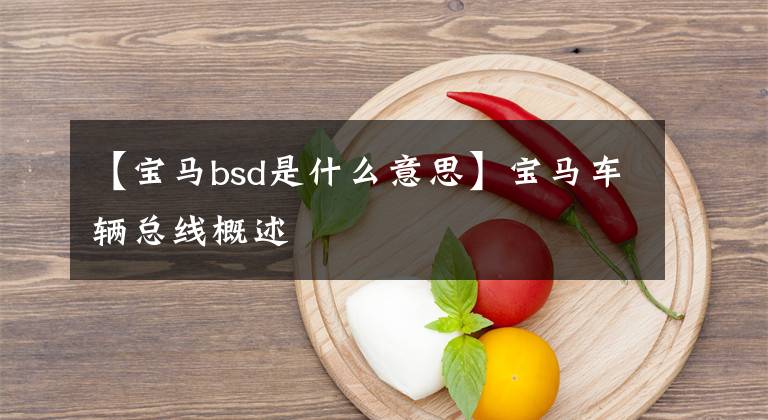 【宝马bsd是什么意思】宝马车辆总线概述