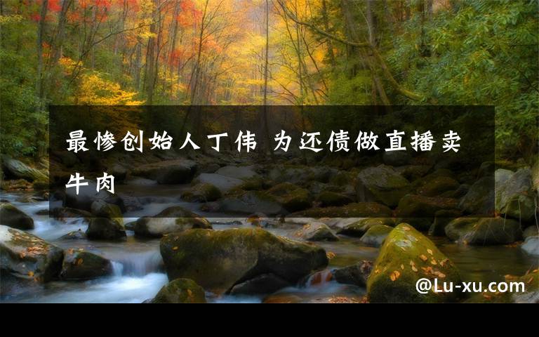 最惨创始人丁伟 为还债做直播卖牛肉