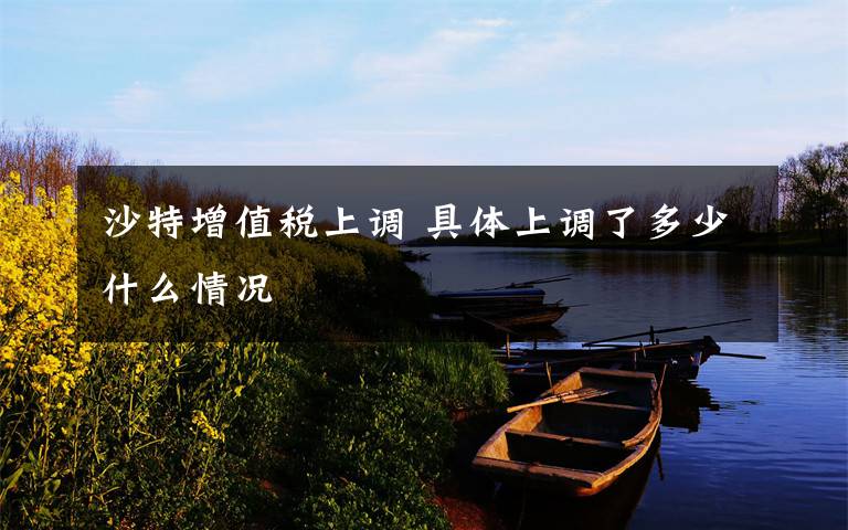 沙特增值税上调 具体上调了多少什么情况