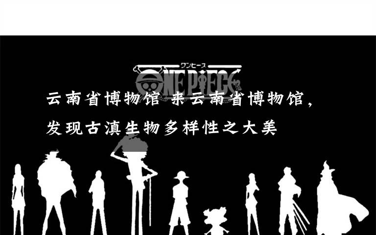 云南省博物馆 来云南省博物馆，发现古滇生物多样性之大美