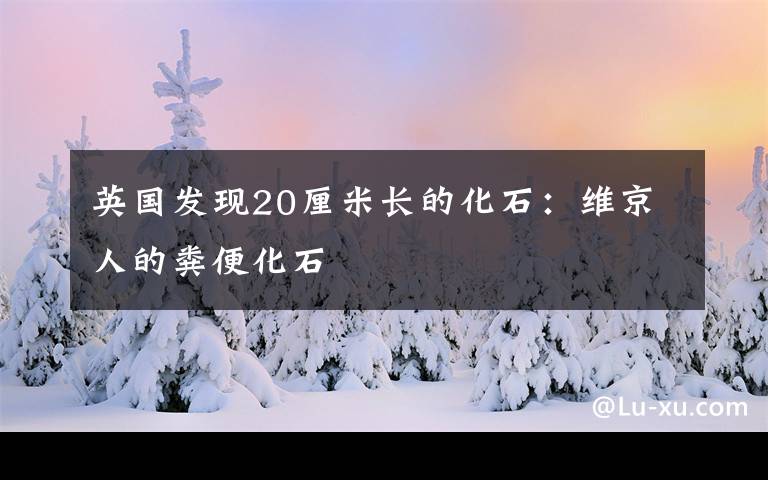 英国发现20厘米长的化石:维京人的粪便化石