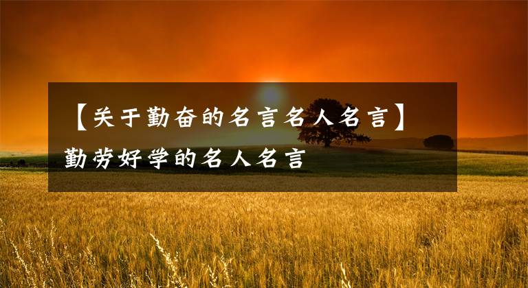 【关于勤奋的名言名人名言】勤劳好学的名人名言