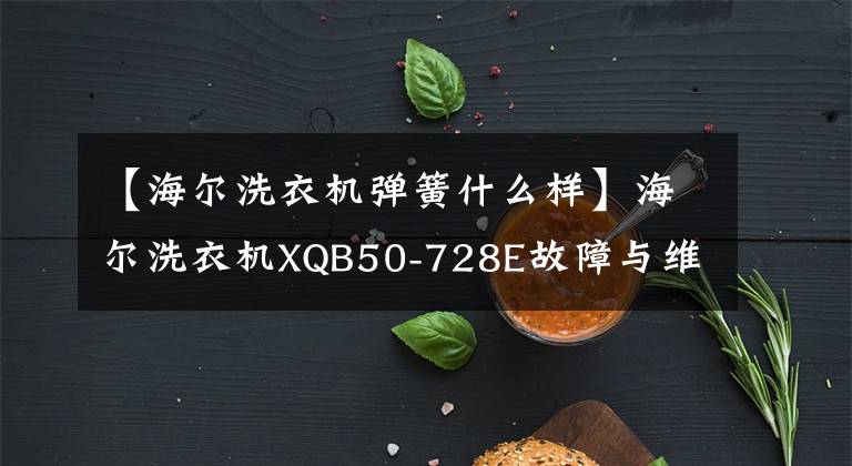 【海尔洗衣机弹簧什么样】海尔洗衣机XQB50-728E故障与维护8