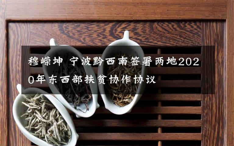 穆嵘坤 宁波黔西南签署两地2020年东西部扶贫协作协议